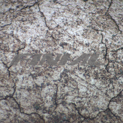 金属裂纹1000X显微图片