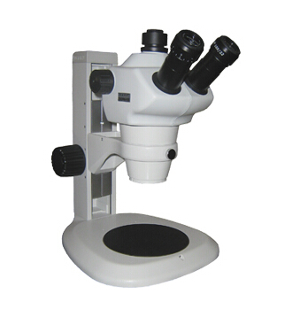 体视显微镜图